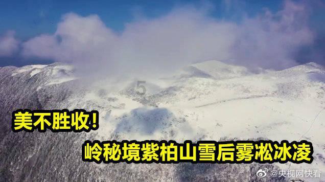 可爱熊猫逃生